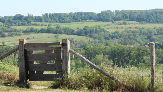 Natuur Limburg