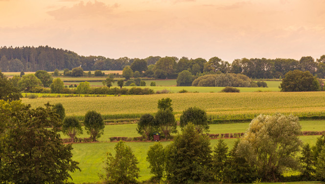 Limburgse Natuur