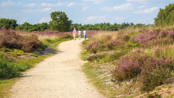 Maasduinen Limburg