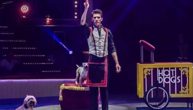 Circus Variété Ronday Venlo