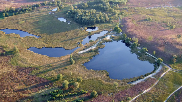 Landgoed De Hamert