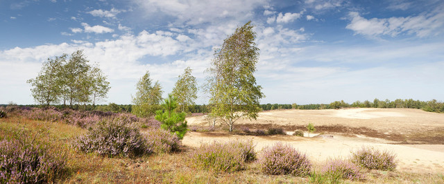 Natuurparken in de regio