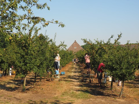 Obstbauernhof Baarlo