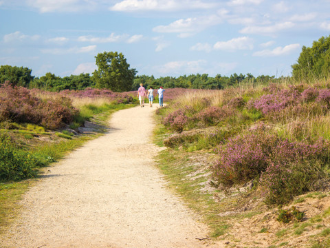 Wandelen